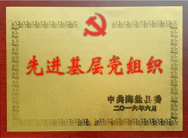 2016�Ƚ��²㵳��֯