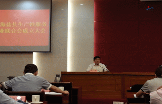 ���³���������ѡΪ�������Է���ҵ���ϻ�᳤